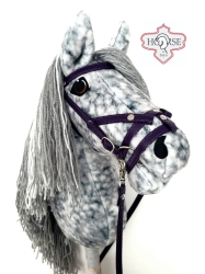 Hobby Horse Silver Run.jpeg