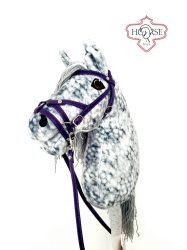 Hobby Horse Silver Run.jpeg