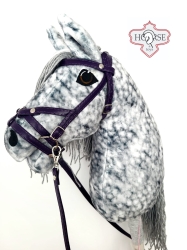 Hobby Horse Silver Run.jpeg