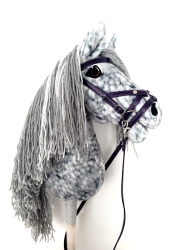 Hobby Horse Silver Run.jpeg