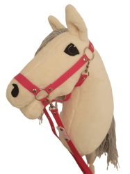 Hobby Horse.jpeg