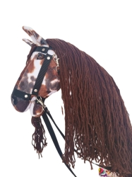 Hobby Horse.jpeg